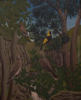 Uccelli in una gola Uccelli in una gola