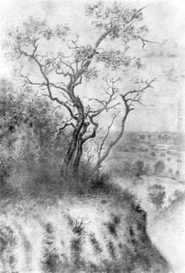 Sulla scogliera Sulla scogliera