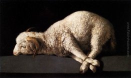 Agnello di Dio Agnello di Dio