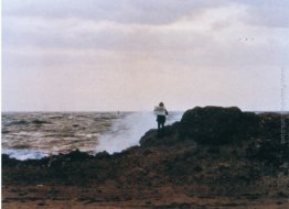 Untitled (The Elements) Untitled (The Elements)