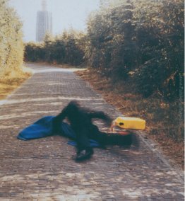 Pitfall sulla strada per una nuova neoplasticismo, Weskapelle, O Pitfall sulla strada per una nuova neoplasticismo, Weskapelle, O