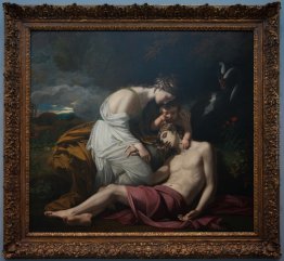 Venere Lamentando la Morte di Adone Venere Lamentando la Morte di Adone