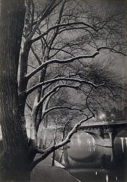 Les arbres des quais avec le Pont-Neuf Les arbres des quais avec le Pont-Neuf