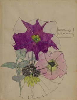 Petunia, Walberswick Petunia, Walberswick