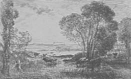 La macchia di ontani La macchia di ontani