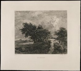 Il cespuglio Il cespuglio