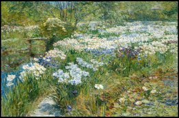 L'acqua del giardino L'acqua del giardino