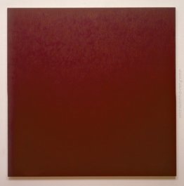 Pittura Rosso: Paliogen Maroon Pittura Rosso: Paliogen Maroon