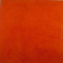 Sem Titulo Sem Titulo