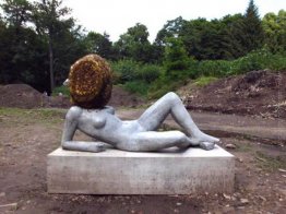 Untilled (particolare) Untilled (particolare)