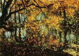 Coesweerd In Laren In Autunno Coesweerd In Laren In Autunno