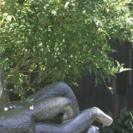 Les Ondines Les Ondines