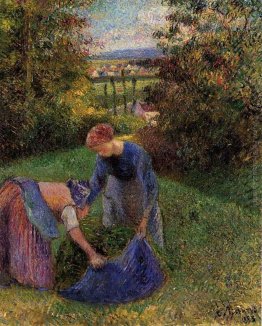 Donne Gathering Erba Donne Gathering Erba