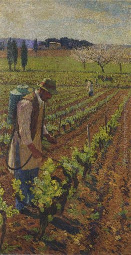 Solforazione Solforazione