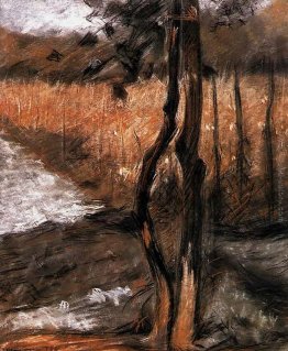 Alberi Alberi