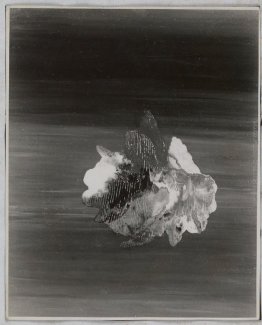 Vaporizzazione Untitled Vaporizzazione Untitled