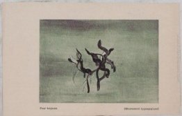 Per sempre (Hypnagogic Movement) Per sempre (Hypnagogic Movement)