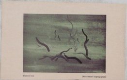 ? (Hypnagogic Movement) ? (Hypnagogic Movement)