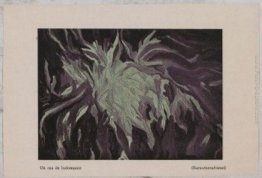 ? (Surautomatism) ? (Surautomatism)