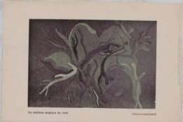 ? (Surautomatism) ? (Surautomatism)