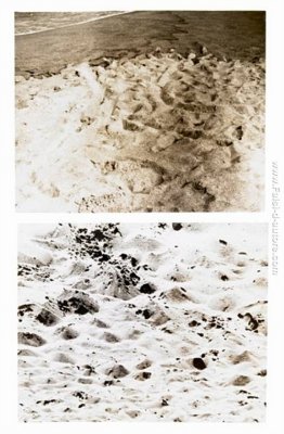 Durata pezzo # 12, Venice, California - Plum Island, (Newburypor Durata pezzo # 12, Venice, California - Plum Island, (Newburypor