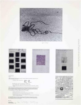 Pezzo variabile # 150 Pezzo variabile # 150