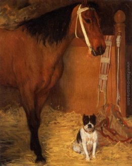 Al Scuderie, Cavallo e cane Al Scuderie, Cavallo e cane