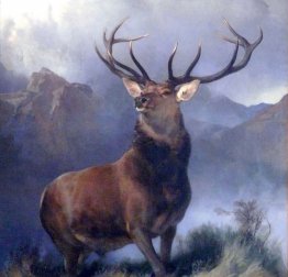Il Monarch of the Glen Il Monarch of the Glen