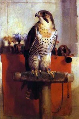 Il Falcon Il Falcon