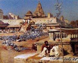 Alimentazione Le Sacre piccioni, Jaipur Alimentazione Le Sacre piccioni, Jaipur