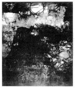 Senza titolo Senza titolo