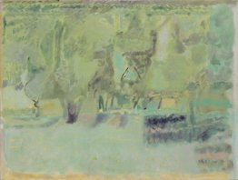 Olive Grove (Corfù) Olive Grove (Corfù)