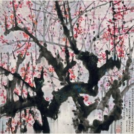 Plum Blossoms Plum Blossoms