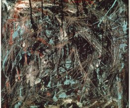 Virgin Forest Virgin Forest