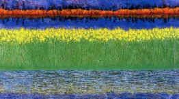 Mare d'Erba Mare d'Erba