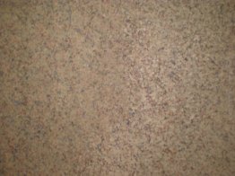 Tutto verde Tutto verde