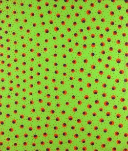 Campi in primavera Campi in primavera