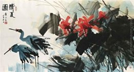 Bella Estate Bella Estate