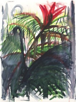 Foresta pluviale Foresta pluviale