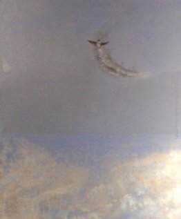 Soaring Osprey Soaring Osprey