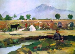 Raccolta del cotone nella valle Ararat Raccolta del cotone nella valle Ararat