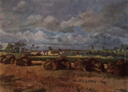 Campo falciato Campo falciato