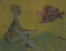 Amico degli Uccelli Amico degli Uccelli