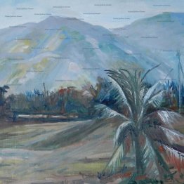 Silver Palm Silver Palm