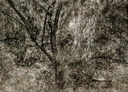 Del pittore Garden Del pittore Garden