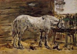 Un Bere Cavallo Un Bere Cavallo