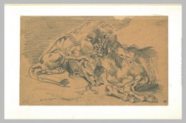 Leone che divora un cavallo Leone che divora un cavallo