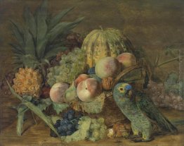 Frutta Natura morta con un pappagallo Amazon Frutta Natura morta con un pappagallo Amazon