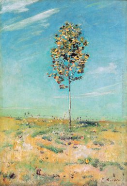 Il piccolo Plantane Il piccolo Plantane