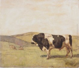 il Toro il Toro